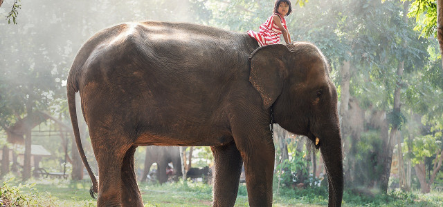 Viaggi avventure nel mondo: 5 itinerari imperdibili