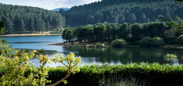 Estate in Sila, dove si respira l'aria più pulita del mondo