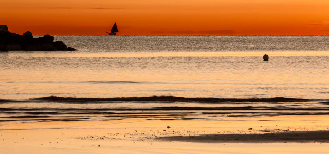 Senigallia e la sua Spiaggia di Velluto, Bandiera Blu