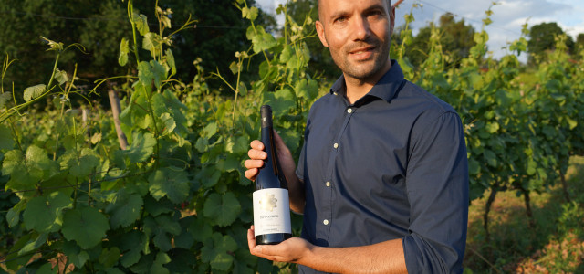 Lo zibibbo delle Cantine Benvenuto premiato dal New York Times