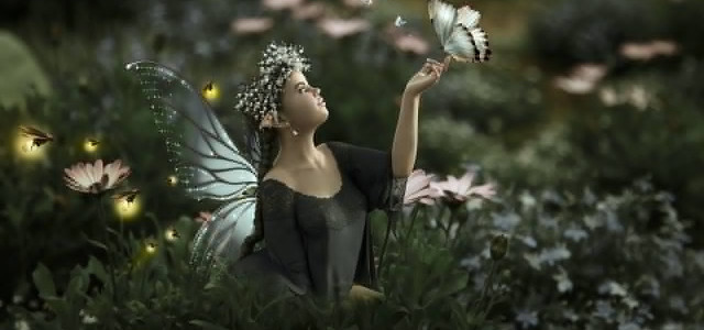 Alla scoperta del Bosco Incantato di Sefro