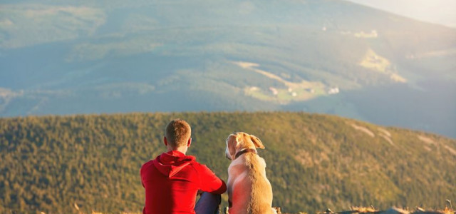 Trekking a 6 zampe per famiglie con bimbi e cani