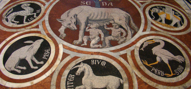 Scopertura pavimento Duomo Siena