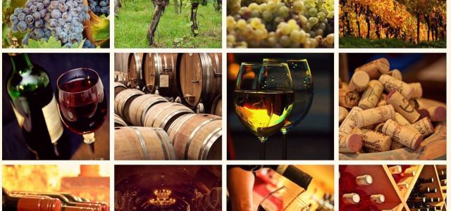 Le fiere del vino più importanti in Italia e nel mondo