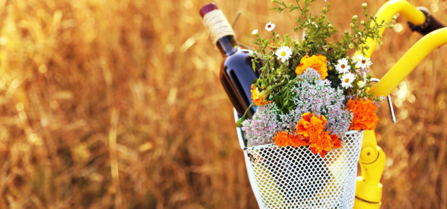 Visita cantine Franciacorta in bici: itinerari e tour