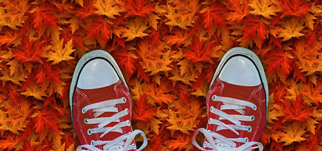 Autunno sul Treno del Foliage: percorso, orari e prezzi
