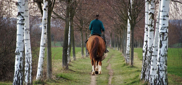 Weekend romantico con passeggiata a cavallo: dove andare