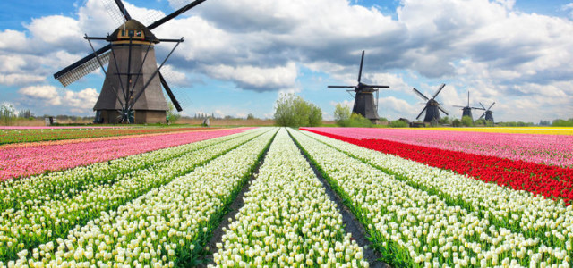 Viaggio in Olanda, il paese dei mulini a vento