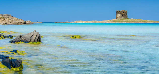 Escursioni e tour nel Parco Nazionale dell'Asinara