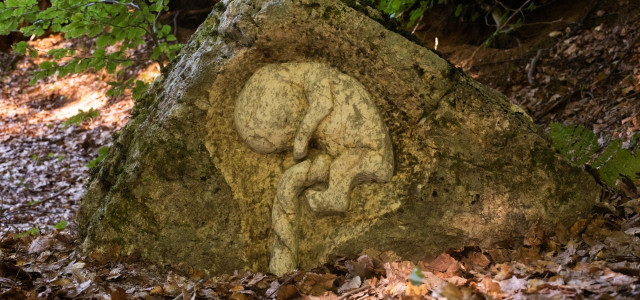 Face Festival Aspromondo XII Edizione - Nuove opere nel Bosco degli Artisti in Aspromonte