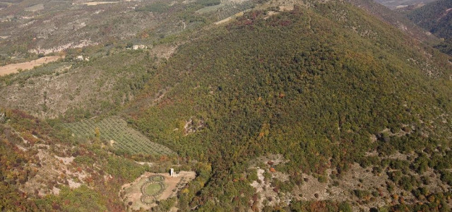 Bosco di San Francesco