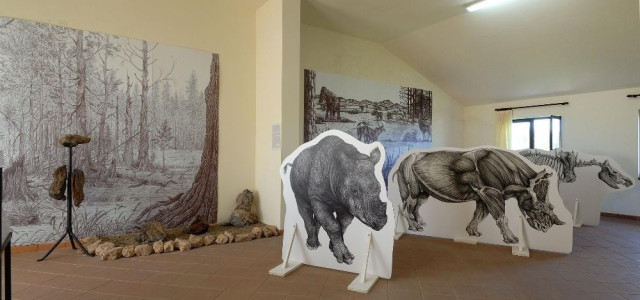 Centro di Paleontologia vegetale della foresta fossile di Dunarobba