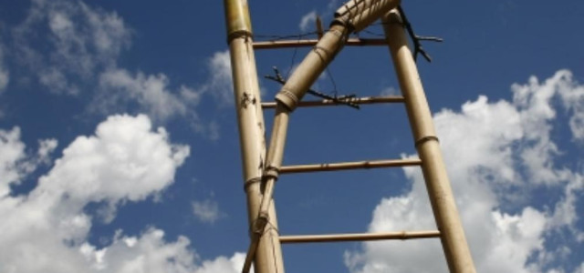 Opera bosco - Museo di arte nella natura