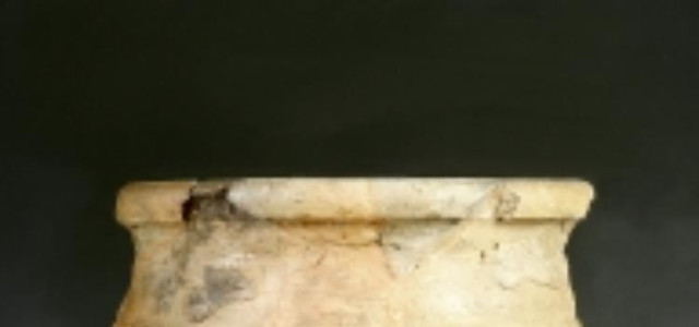 Museo "Ferrante Rittatore Vonwiller"