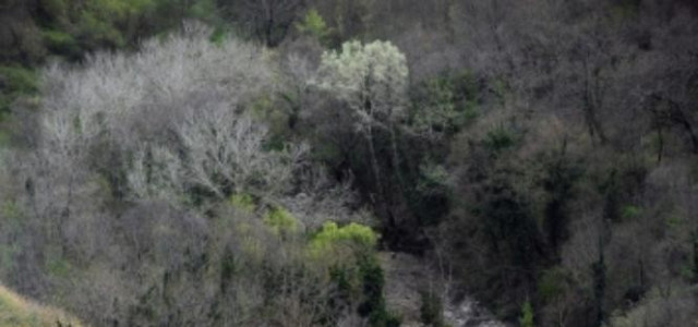 Museo naturalistico