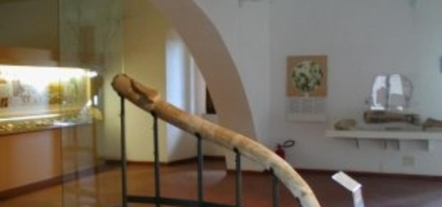 Museo della preistoria della Tuscia e della Rocca Farnese