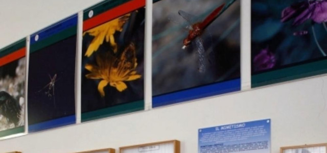 Museo archeologico-naturalistico "Adolfo Klitsche de la Grange"