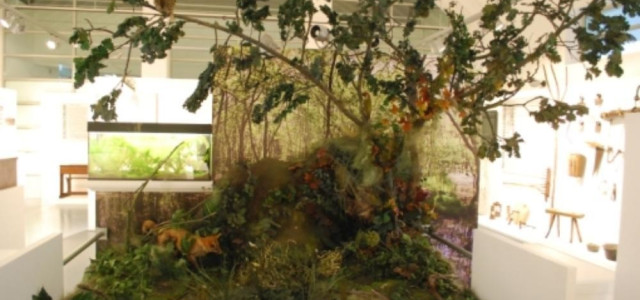 MAP - Museo dell'agro pontino