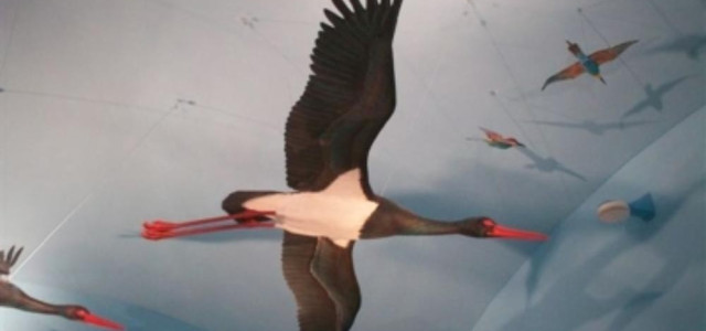 Museo della migrazione e Osservatorio ornitologico