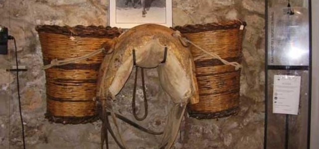 Museo della civiltà contadina e dell'ulivo