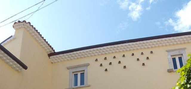 Museo Civico "Enrico Sannia"