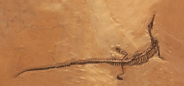 Museo Mineralogico Campano