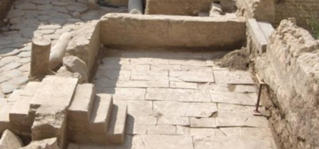Foro Transitorio