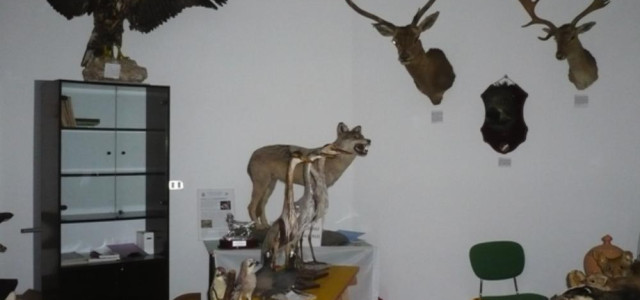 MUSEO DELLE TRADIZIONI VENATORIE