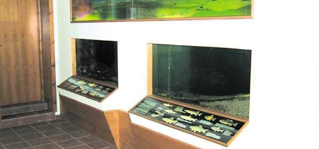 MUSEO NATURALISTICO 'NICOLA DE LEONE'