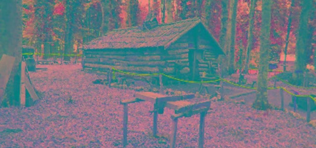 Museo Naturalistico della Foresta Umbra