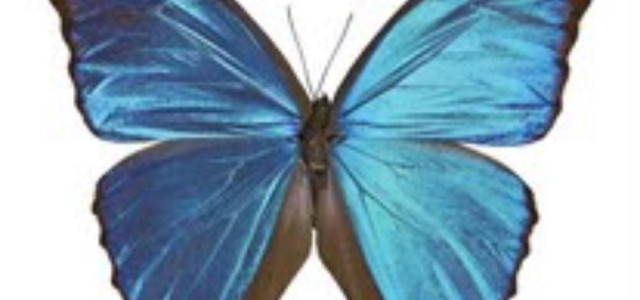 Museo di Storia Naturale