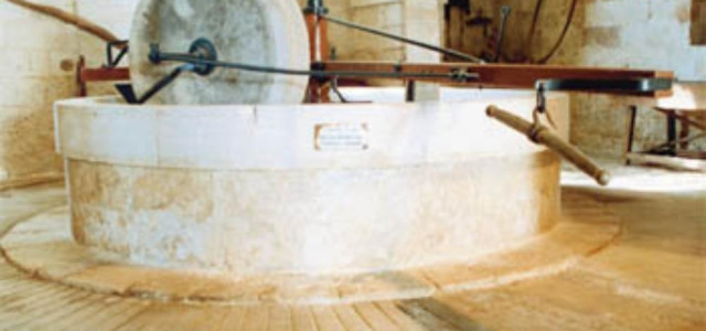 Museo dell'Olio d'Oliva di Fasano 