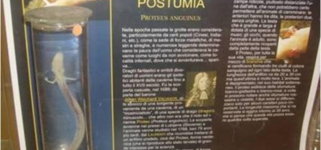 Museo del Sottosuolo di Latiano