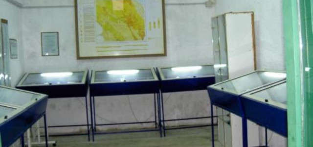 Museo malacologico delle Argille e parco dei fossili