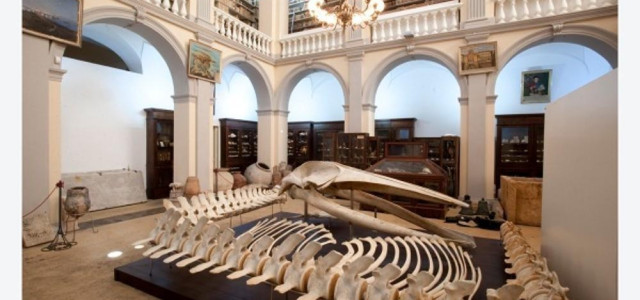 Museo Civico "Emanuele Barba"