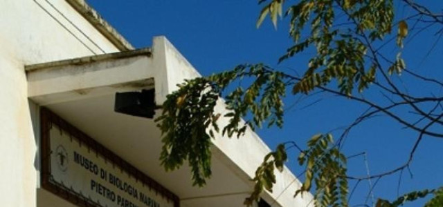 Museo di biologia marina "Pietro Parenzan"