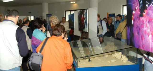 MUSEO COMUNALE DI STORIA NATURALE ED ARTE MINERARIA