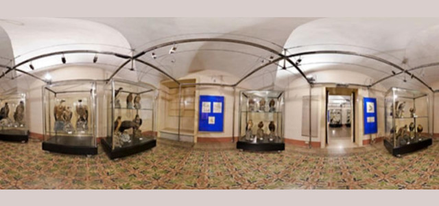 MUSEO ORNITOLOGICO