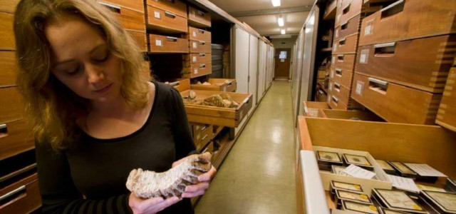 MUSEO CIVICO DI STORIA NATURALE