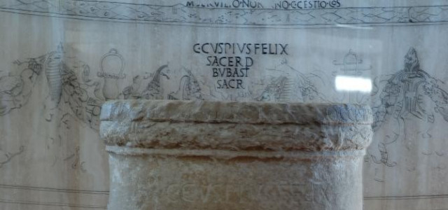 Antiquarium Turritano