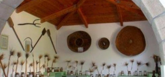 MUSEO DEL MOLINO GALLEU