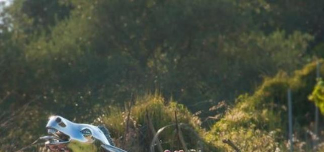 MUSEO D'ARTE MODERNA FONDAZIONE LOGUDORO MEILOGU