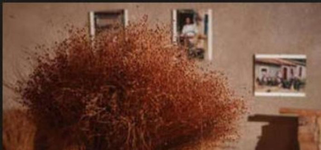 MUSEO DEL COSTUME E DELLA TRADIZIONE DEL LINO