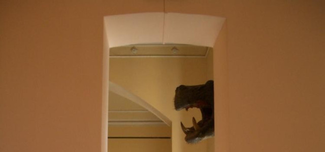 Museo di Storia Naturale