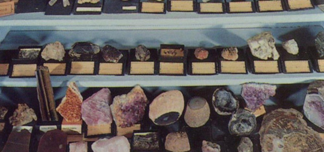 Museo di Scienze Naturali del Collegio S. Francesco