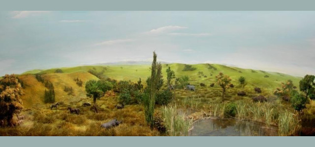 Museo del Territorio