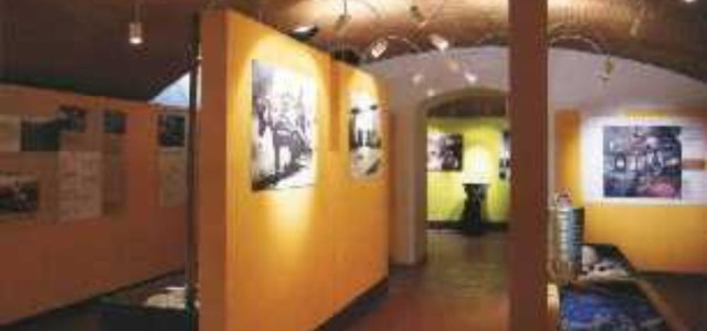 MUSEO DELLA VITE E DEL VINO