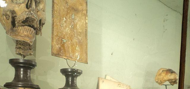 Museo per la Storia dell'Università di Pavia