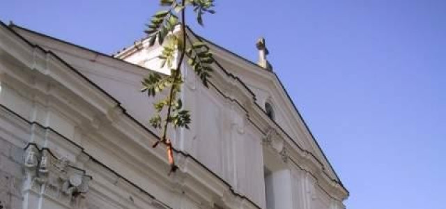 Chiesa di Santa Maria della Misericordia