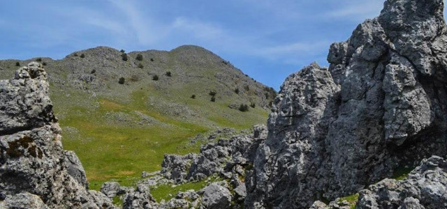 Vetta Monte Cocuzzo - Sentiero Italia (CAI)